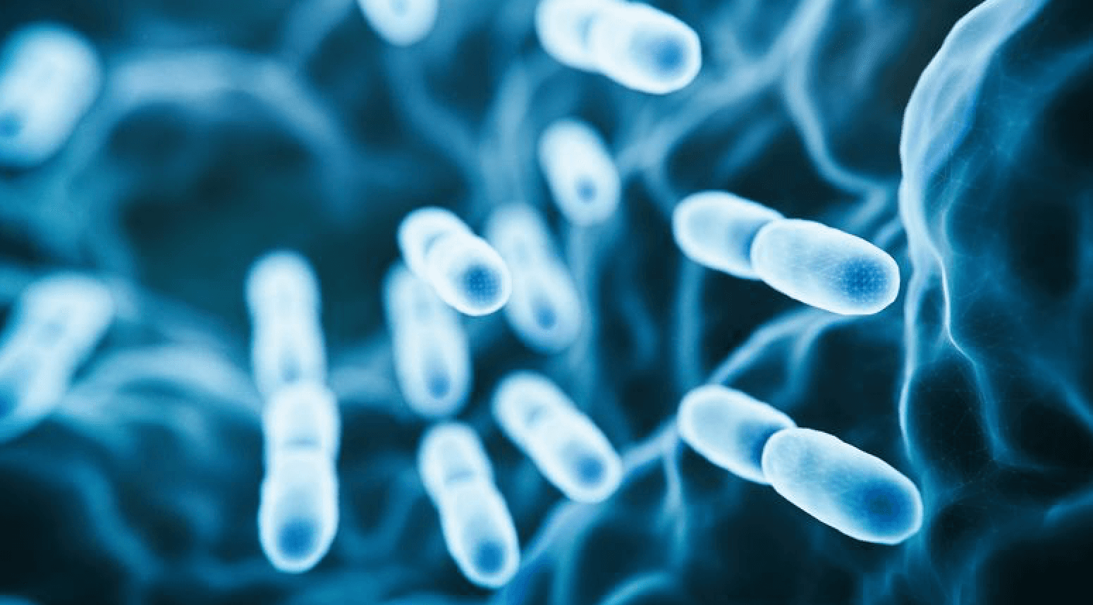 Bacterial Vaginosis vs. Yeast Infections: What's the Difference?